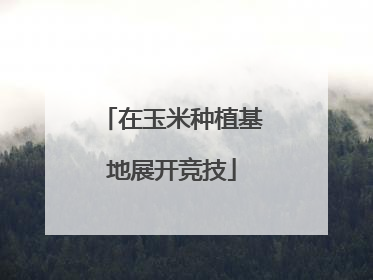 在玉米种植基地展开竞技