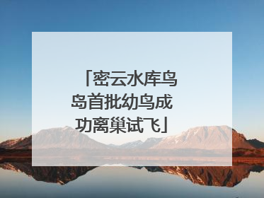 密云水库鸟岛首批幼鸟成功离巢试飞