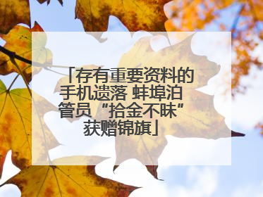 存有重要资料的手机遗落 蚌埠泊管员“拾金不昧”获赠锦旗