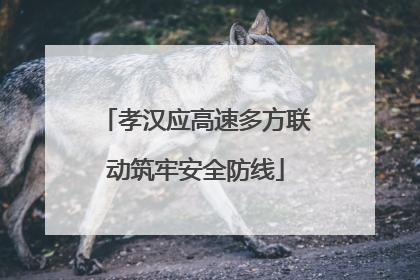 孝汉应高速多方联动筑牢安全防线