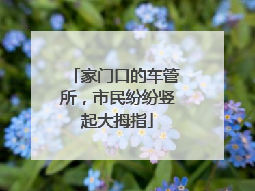 家门口的车管所，市民纷纷竖起大拇指