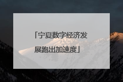 宁夏数字经济发展跑出加速度