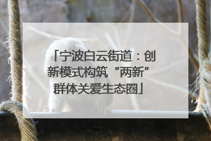 宁波白云街道：创新模式构筑“两新”群体关爱生态圈