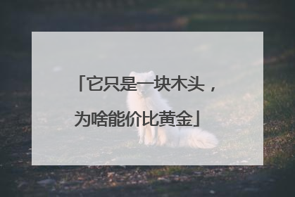 它只是一块木头，为啥能价比黄金