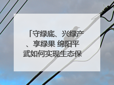 守绿底、兴绿产、享绿果 绵阳平武如何实现生态保护与经济发展双赢？｜新闻发布最前线·深一度