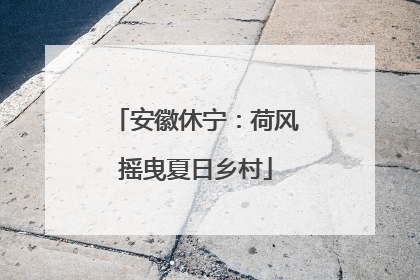 安徽休宁：荷风摇曳夏日乡村