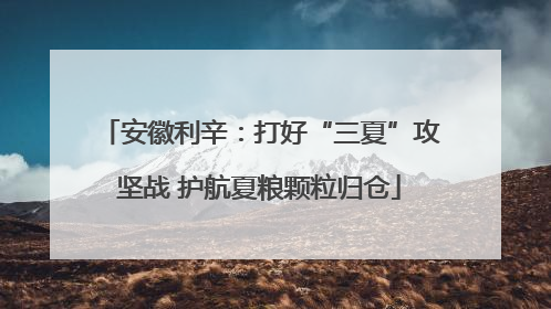 安徽利辛：打好“三夏”攻坚战 护航夏粮颗粒归仓