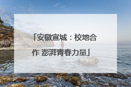 安徽宣城：校地合作 澎湃青春力量