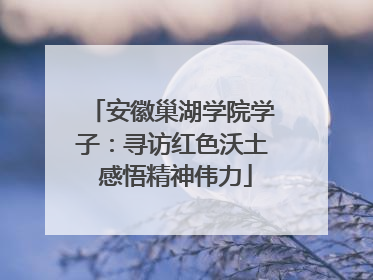 安徽巢湖学院学子：寻访红色沃土 感悟精神伟力