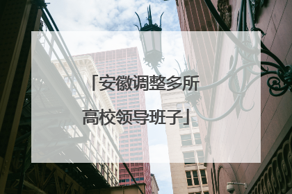 安徽调整多所高校领导班子