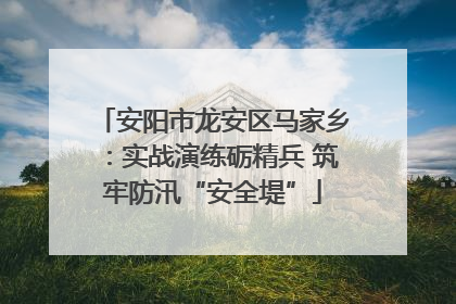 安阳市龙安区马家乡：实战演练砺精兵 筑牢防汛“安全堤”