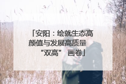 安阳：绘就生态高颜值与发展高质量 “双高” 画卷