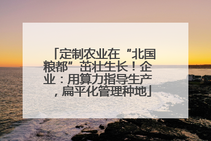 定制农业在“北国粮都”茁壮生长！企业：用算力指导生产，扁平化管理种地