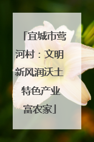 宜城市莺河村：文明新风润沃土 特色产业富农家
