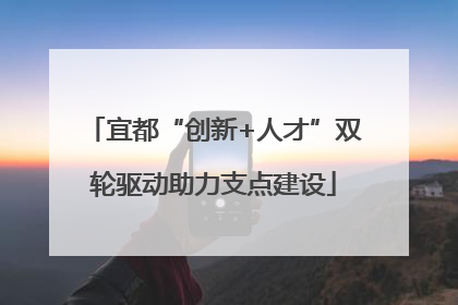宜都“创新+人才”双轮驱动助力支点建设