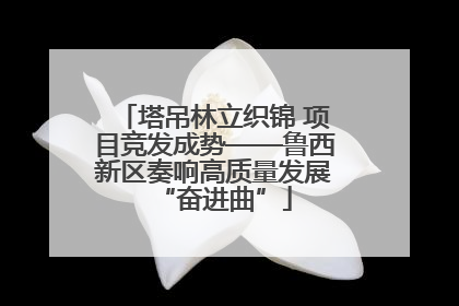 塔吊林立织锦 项目竞发成势——鲁西新区奏响高质量发展“奋进曲”