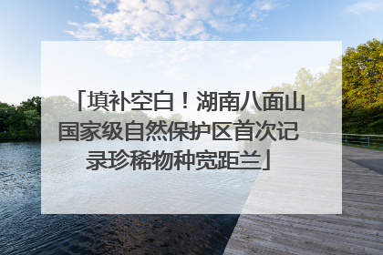 填补空白！湖南八面山国家级自然保护区首次记录珍稀物种宽距兰