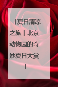 夏日清凉之旅丨北京动物园的奇妙夏日大赏