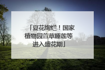 夏花绚烂！国家植物园萱草睡莲等进入盛花期