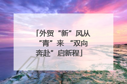 外贸“新”风从“青”来 “双向奔赴”启新程