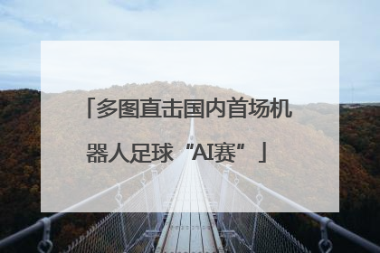 多图直击国内首场机器人足球“AI赛”