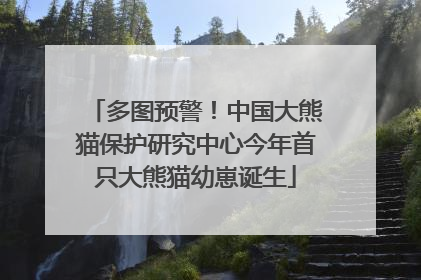 多图预警！中国大熊猫保护研究中心今年首只大熊猫幼崽诞生