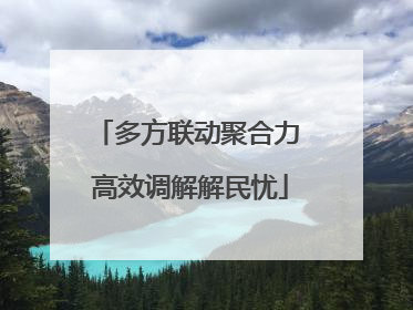多方联动聚合力 高效调解解民忧