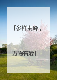 多样秦岭，万物有爱