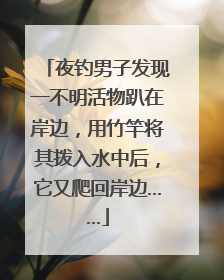 夜钓男子发现一不明活物趴在岸边，用竹竿将其拨入水中后，它又爬回岸边……