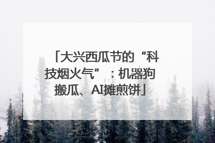 大兴西瓜节的“科技烟火气”：机器狗搬瓜、AI摊煎饼