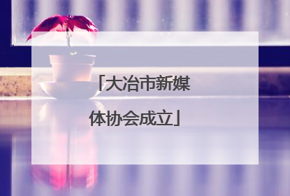 大冶市新媒体协会成立