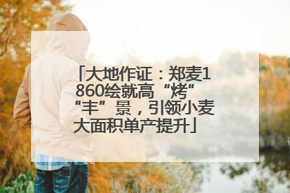 大地作证：郑麦1860绘就高“烤”“丰”景，引领小麦大面积单产提升