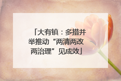 大有镇：多措并举推动“两清两改两治理”见成效