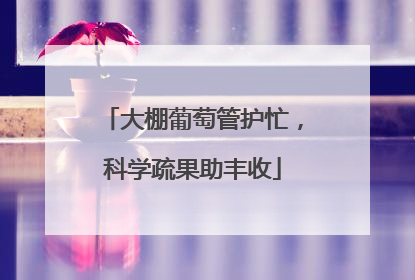 大棚葡萄管护忙，科学疏果助丰收