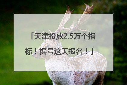 天津投放2.5万个指标！摇号这天报名！
