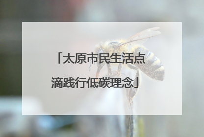 太原市民生活点滴践行低碳理念