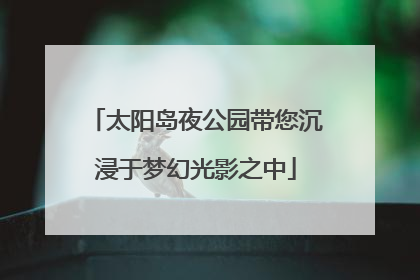 太阳岛夜公园带您沉浸于梦幻光影之中
