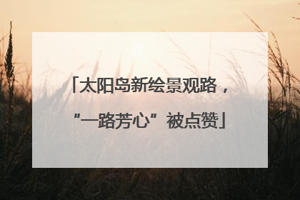 太阳岛新绘景观路，“一路芳心”被点赞