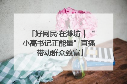 好网民·在潍坊｜“小高书记正能量”直播 带动群众致富