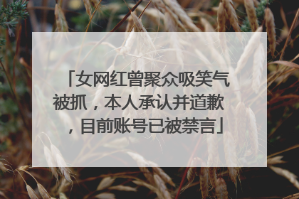 女网红曾聚众吸笑气被抓，本人承认并道歉，目前账号已被禁言