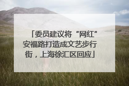 委员建议将“网红”安福路打造成文艺步行街，上海徐汇区回应