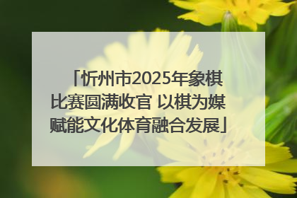 忻州市2025年象棋比赛圆满收官 以棋为媒赋能文化体育融合发展