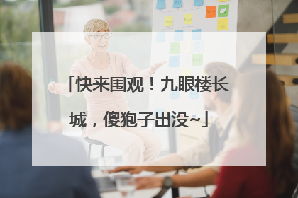 快来围观！九眼楼长城，傻狍子出没~