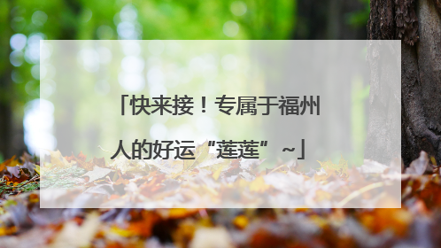 快来接！专属于福州人的好运“莲莲”~