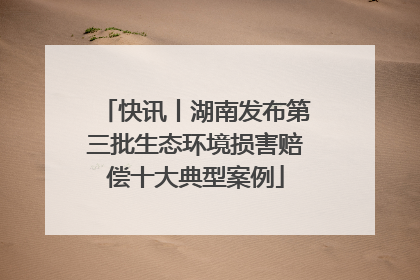 快讯丨湖南发布第三批生态环境损害赔偿十大典型案例