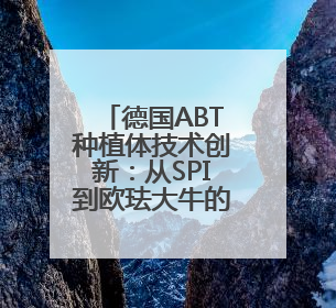 德国ABT种植体技术创新：从SPI到欧珐大牛的突破之路