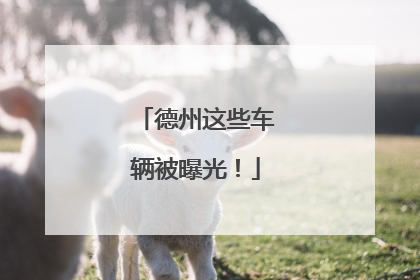 德州这些车辆被曝光！