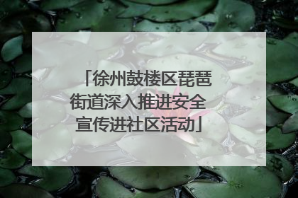 徐州鼓楼区琵琶街道深入推进安全宣传进社区活动