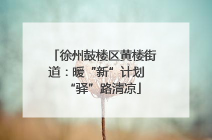 徐州鼓楼区黄楼街道：暖“新”计划 “驿”路清凉