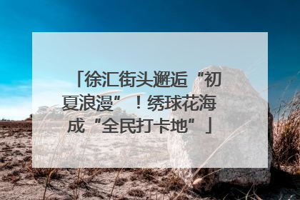 徐汇街头邂逅“初夏浪漫”！绣球花海成“全民打卡地”